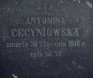 Fotografia przedstawiająca Tombstone of Antonina Cecyniowska