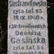 Fotografia przedstawiająca Tombstone of Dionysia Gasirska and Franciszka Siestrzewitowska