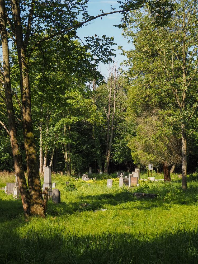 Evangelical cemetery in Karviná (district Doły)