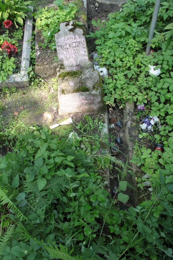 Nagrobek Anny Zinkiewicz, cmentarz Na Rossie w Wilnie, stan z 2013