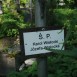 Альтернативний текст фотографії