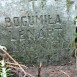 Fotografia przedstawiająca Tombstone of Bogumiła Lenart