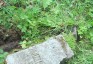 Альтернативний текст фотографії