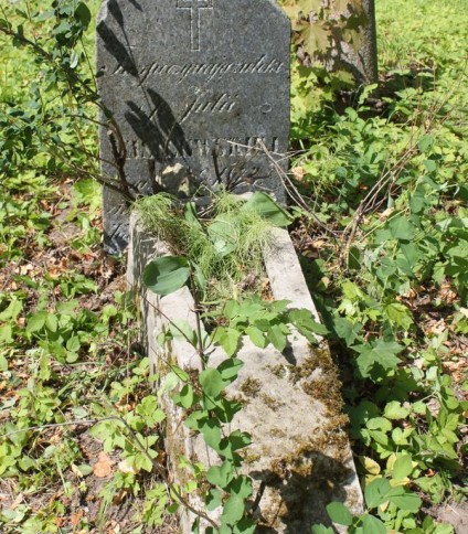 Nagrobek Julii Wasilewskiej, cmentarz na Rossie w Wilnie, stan z 2013