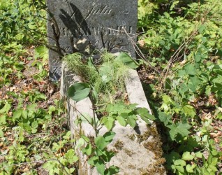 Nagrobek Julii Wasilewskiej, cmentarz na Rossie w Wilnie, stan z 2013