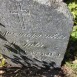 Fotografia przedstawiająca Nagrobek Julii Wasilewskiej