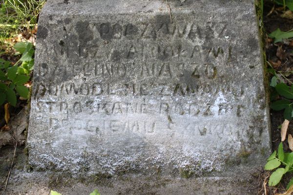 Fragment nagrobka Jerzego Dominiczaka, cmentarz na Rossie w Wilnie, stan z 2013