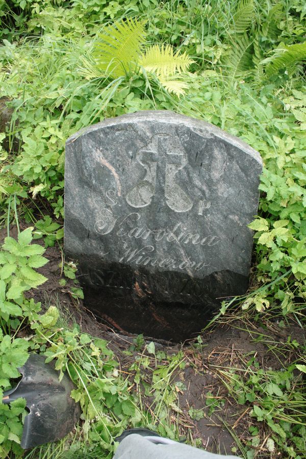 Nagrobek Karoliny Raszkiewicz, cmentarz Na Rossie w Wilnie, stan z 2013