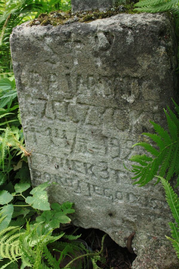Fragment nagrobka Rajmunda Rzeczyckiego, cmentarz Na Rossie w Wilnie, stan z 2013