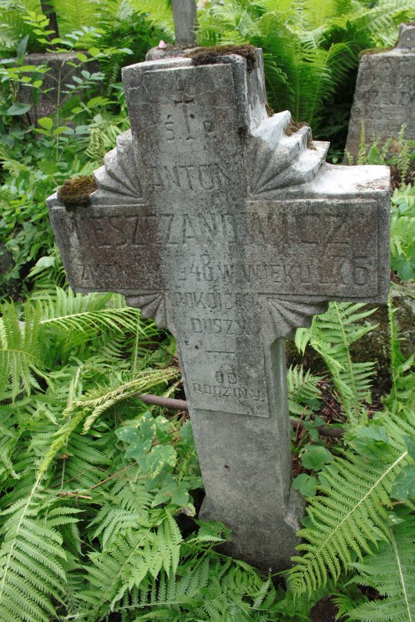 Tombstone of Antoni Mieszczanowicz, Na Rossie cemetery in Vilnius, as of 2013
