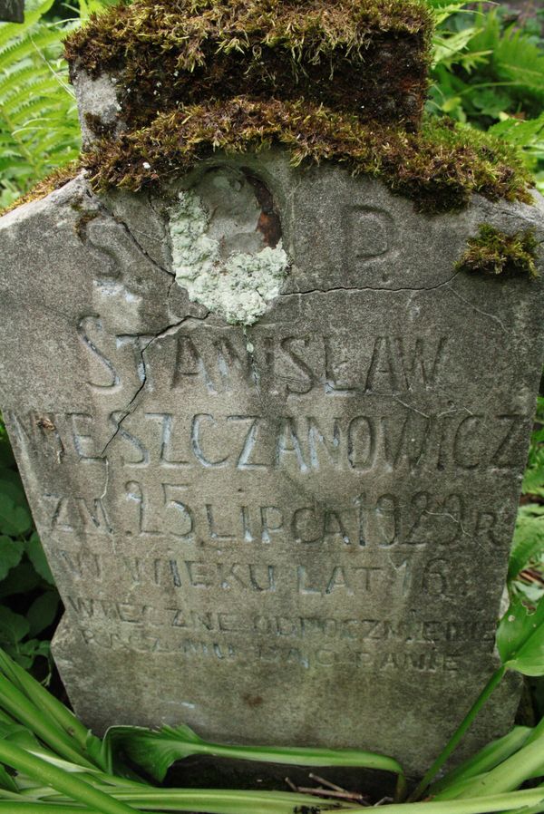 A fragment of the gravestone of Stanislaw Mieszczanowicz, Na Rossie cemetery in Vilnius, as of 2013