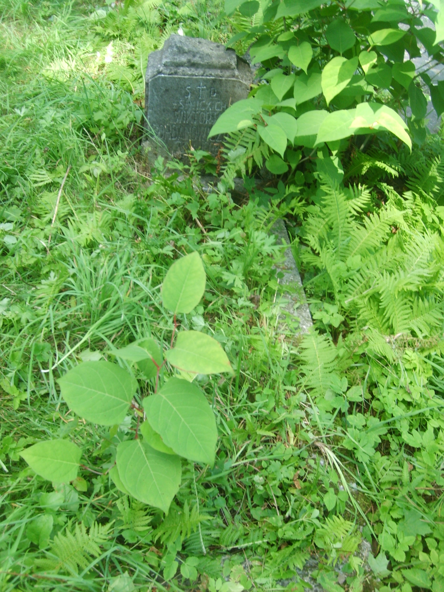 Nagrobek Wiktorii Bohdanowicz, cmentarz Na Rossie w Wilnie, stan z 2013