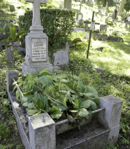 Nagrobek Józefa Szarpaka, cmentarz na Rossie w Wilnie, stan z 2013