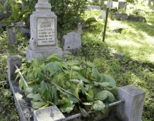 Nagrobek Józefa Szarpaka, cmentarz na Rossie w Wilnie, stan z 2013