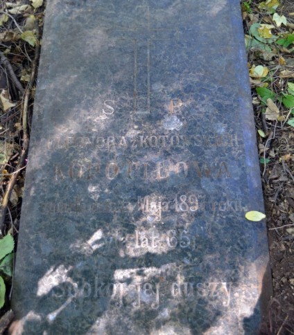 Polerowany nagrobek o ściętych krawędziach z wyrytym krzyżem i napisem dla Eleonory Kopotułowej. Otoczony opadłymi liśćmi.