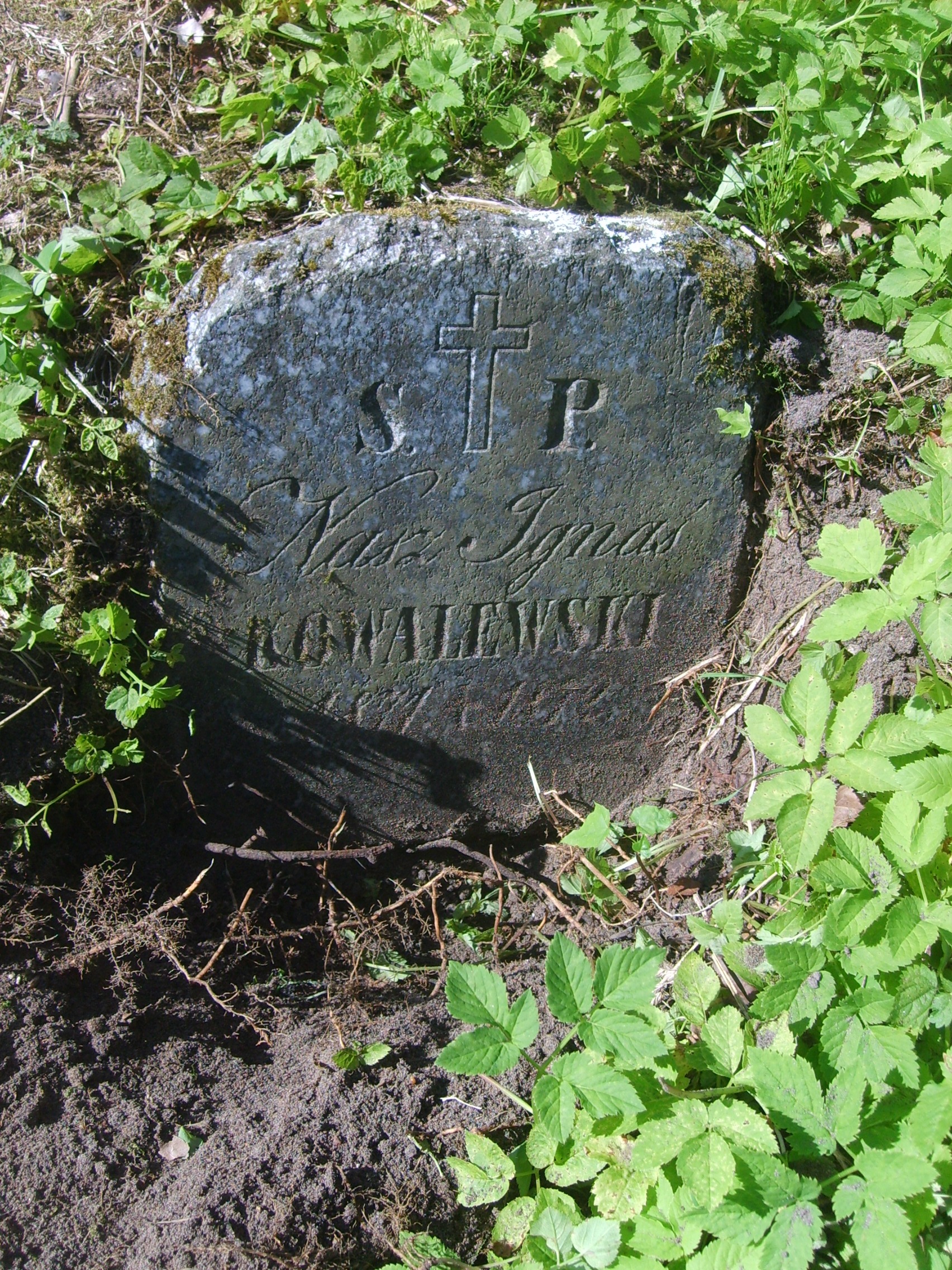 Nagrobek Ignacego Kowalewskiego, cmentarz Na Rossie w Wilnie, stan z 2013