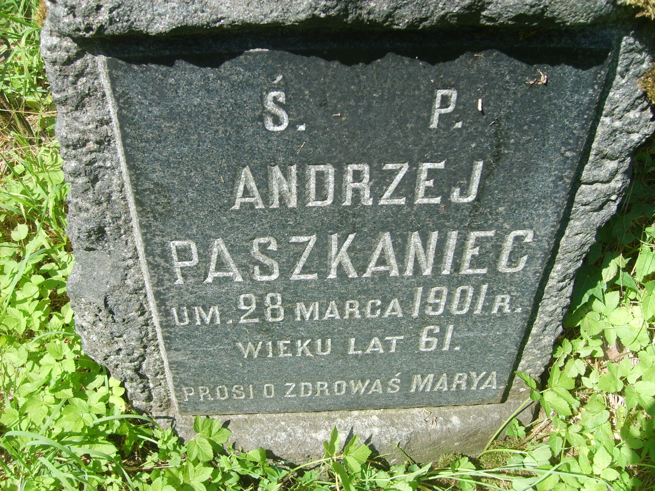 A fragment of the tombstone of Andrzej Paszkaniec, Na Rossie cemetery in Vilnius, as of 2013