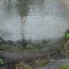 Альтернативний текст фотографії