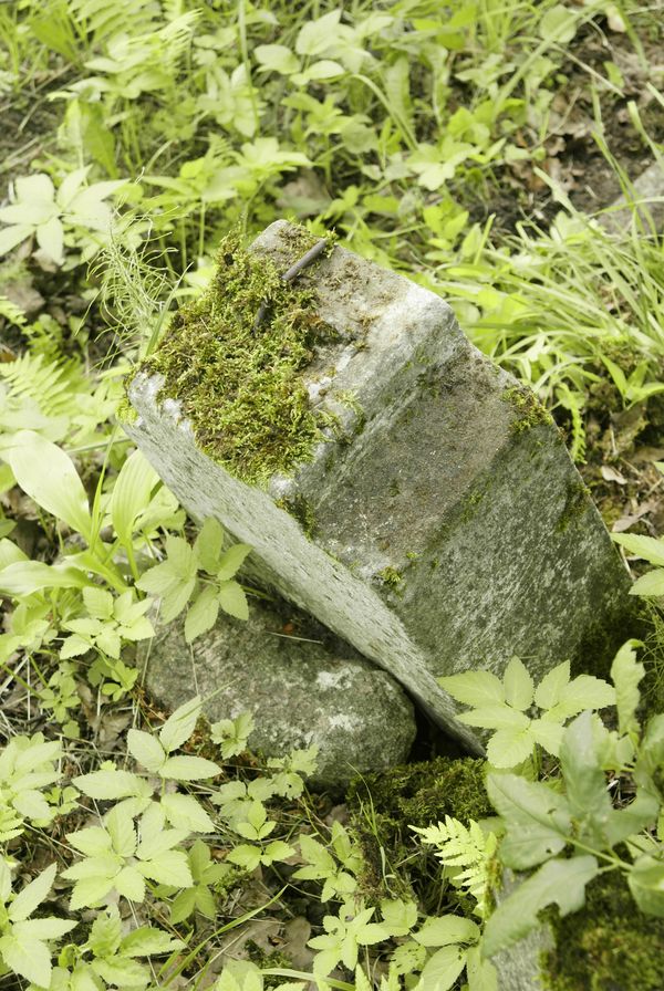 Tombstone detail of Tadeusz Cireszko, Rossa cemetery in Vilnius, state of 2013