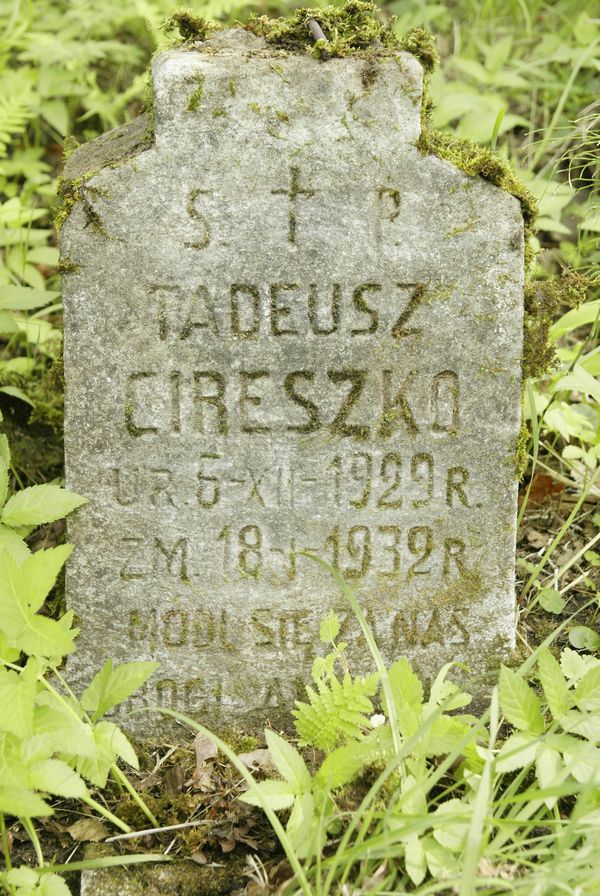 Inscription on the gravestone of Tadeusz Cireszko, Rossa cemetery in Vilnius, as of 2013