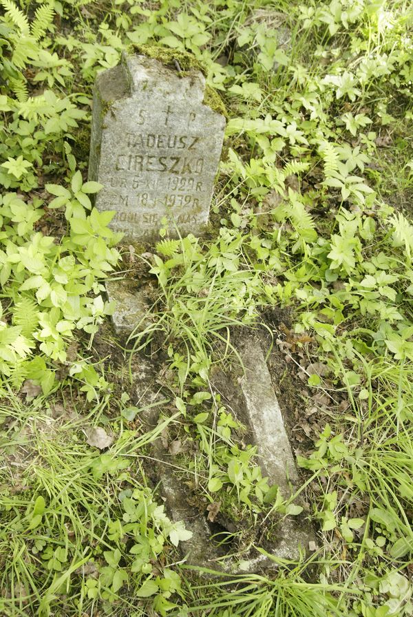Tombstone of Tadeusz Cireszko, Rossa cemetery in Vilnius, as of 2013