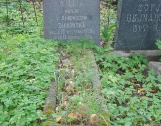 Nagrobek Marii Żarnowskiej, cmentarz Na Rossie w Wilnie, stan z 2013 r.
