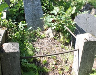 Nagrobek Stanisława Maksimowicza, cmentarz na Rossie w Wilnie, stan z 2013