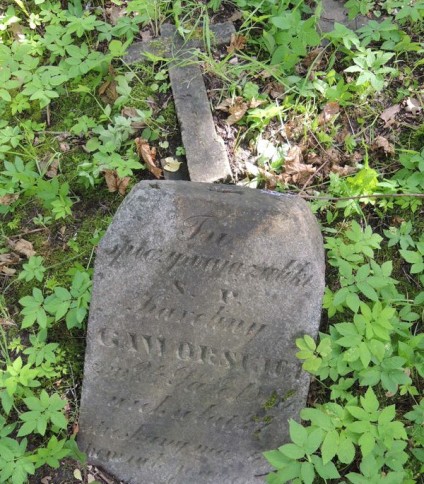 Nagrobek Karoliny Gaworskiej, cmentarz Na Rossie w Wilnie, stan z 2013 r.