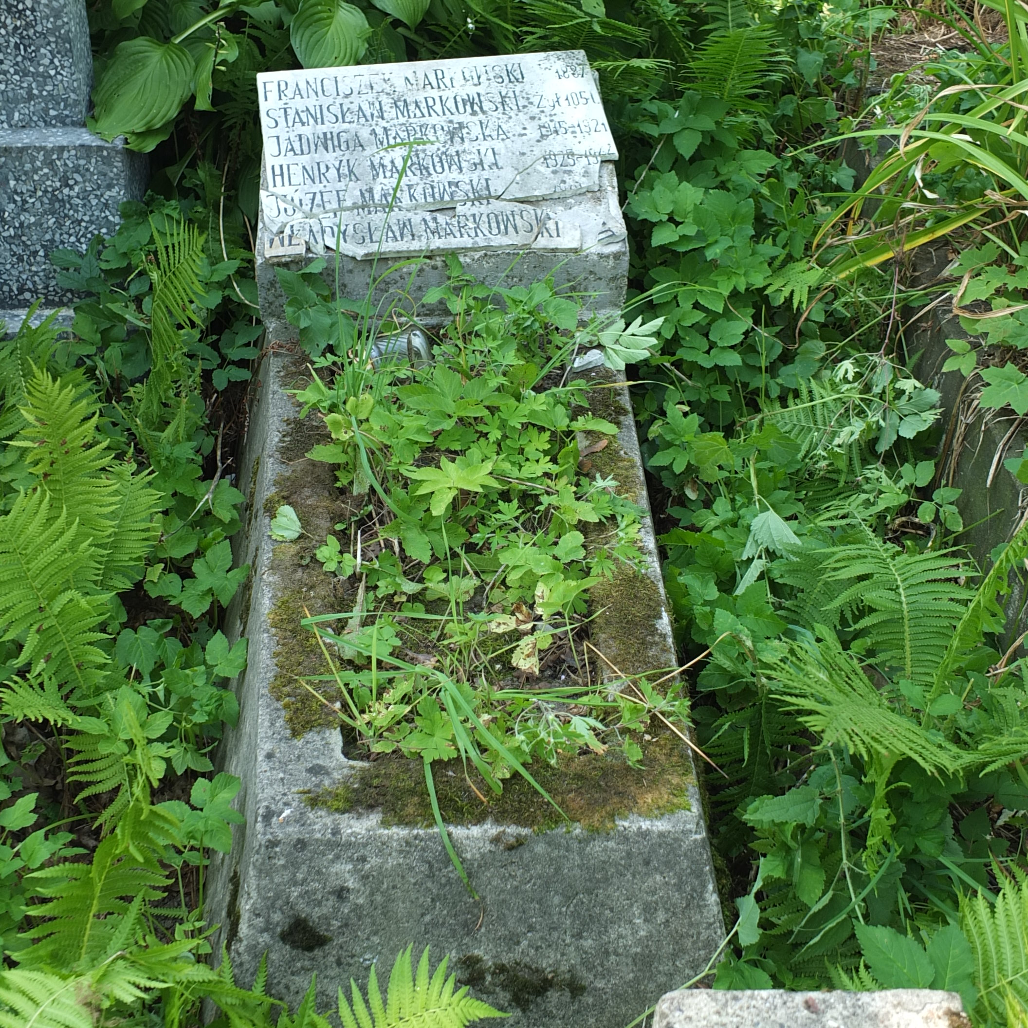 Tombstone of the Markowski family, Na Rossie cemetery in Vilnius, as of 2013