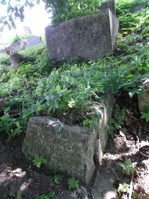 Nagrobek Aleksandra Opowicza, cmentarz Na Rossie w Wilnie, stan z 2012 roku