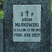 Photo montrant Tombstone of Adam Markowski