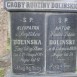 Photo montrant Tombstone of the Doliński family