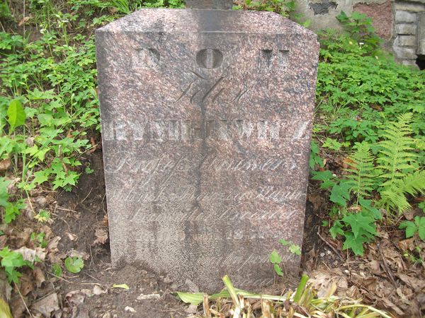 Nagrobek Antoniego, Feliksa oraz Jana Rymkiewicza, cmentarz na Rossie w Wilnie, stan na 2013 r.