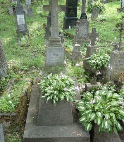 Nagrobek Stanisława Żygo z cmentarza na Rossie w Wilnie, stan z 2013 roku