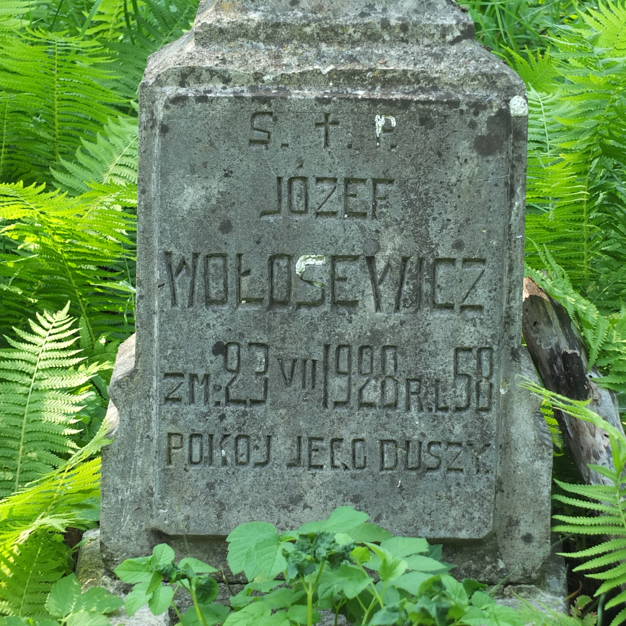 Fragment nagrobka Józefa Wołosewicza, cmentarz Na Rossie w Wilnie, stan z 2013