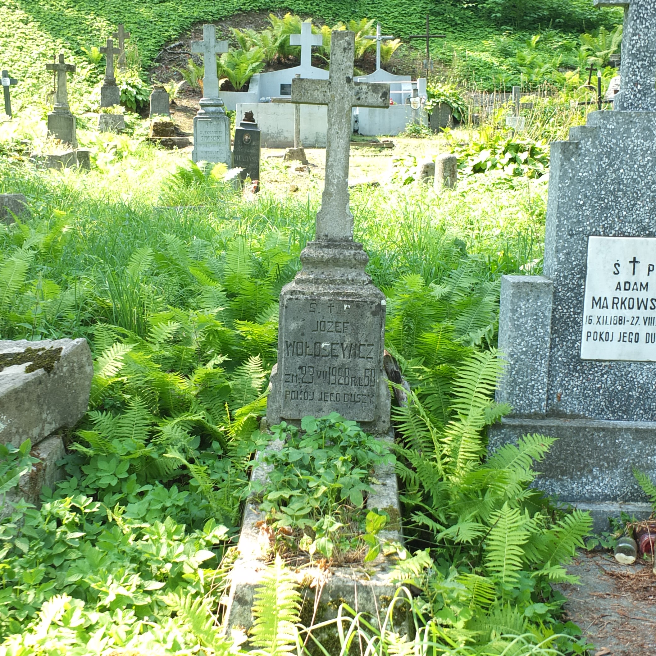 Nagrobek Józefa Wołosewicza, cmentarz Na Rossie w Wilnie, stan z 2013