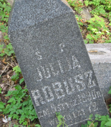 Nagrobek Julii Robusz, cmentarz na Rossie w Wilnie, stan na 2013 r.