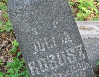 Nagrobek Julii Robusz, cmentarz na Rossie w Wilnie, stan na 2013 r.