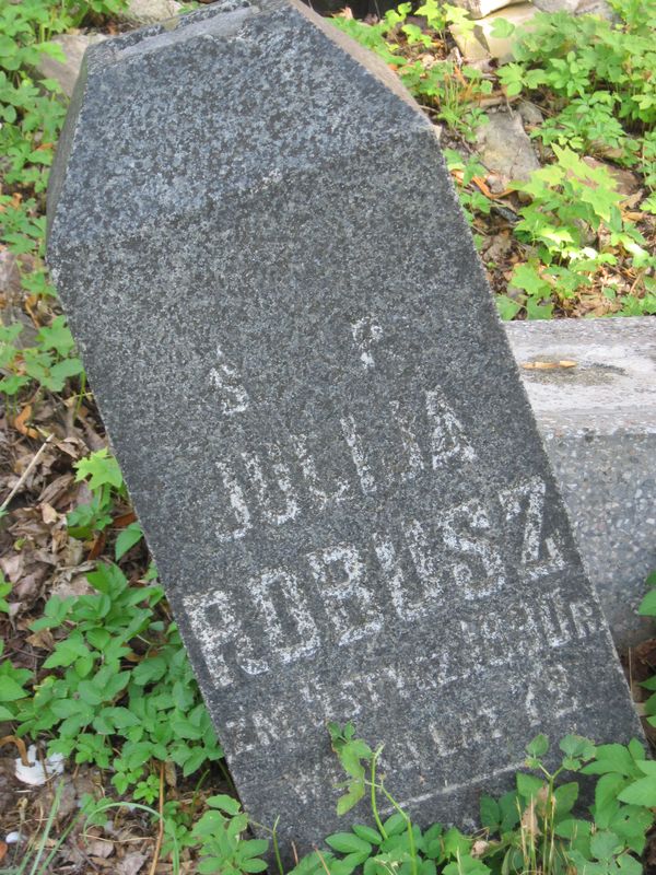 Nagrobek Julii Robusz, cmentarz na Rossie w Wilnie, stan na 2013 r.