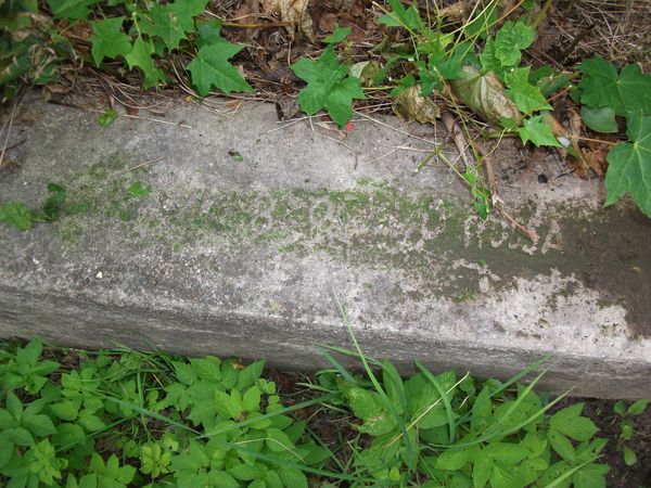 Grobowiec Eugenii Sadowskiej, cmentarz na Rossie w Wilnie, stan na 2013 r.