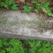Photo montrant Eugenia Sadowska\'s grave