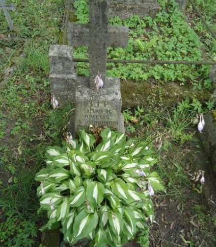 Nagrobek Jana Antoniego Szadkowskiego z cmentarza na Rossie w Wilnie, stan z 2013 roku