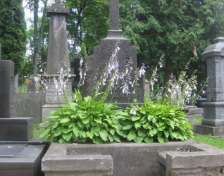 Nagrobek Jana Sadowskiego, cmentarz na Rossie w Wilnie, stan z 2013 r.