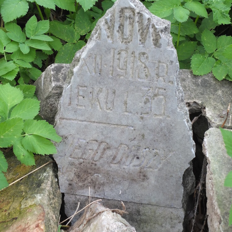 Tombstone of Veronika Cudzinovich, Na Rossa cemetery in Vilnius, state of 2013