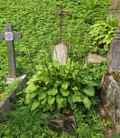 Nagrobek Dominika Szysza, cmentarz Na Rossie w Wilnie, stan z 2013