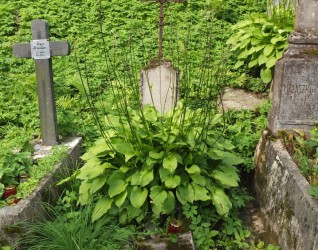 Nagrobek Dominika Szysza, cmentarz Na Rossie w Wilnie, stan z 2013