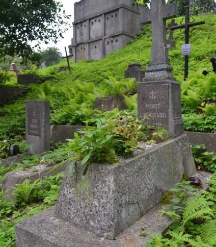 Nagrobek Michata Lobaszewskiego, cmentarz Na Rossie w Wilnie, stan z 2013 roku