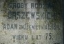 Fotografia przedstawiająca Nagrobek rodziny Orszewskich