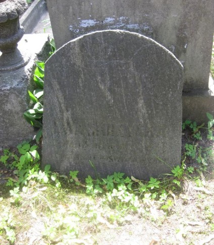 Nagrobek Ewy Skrzyckiej, cmentarz na Rossie w Wilnie, stan z 2013 r.