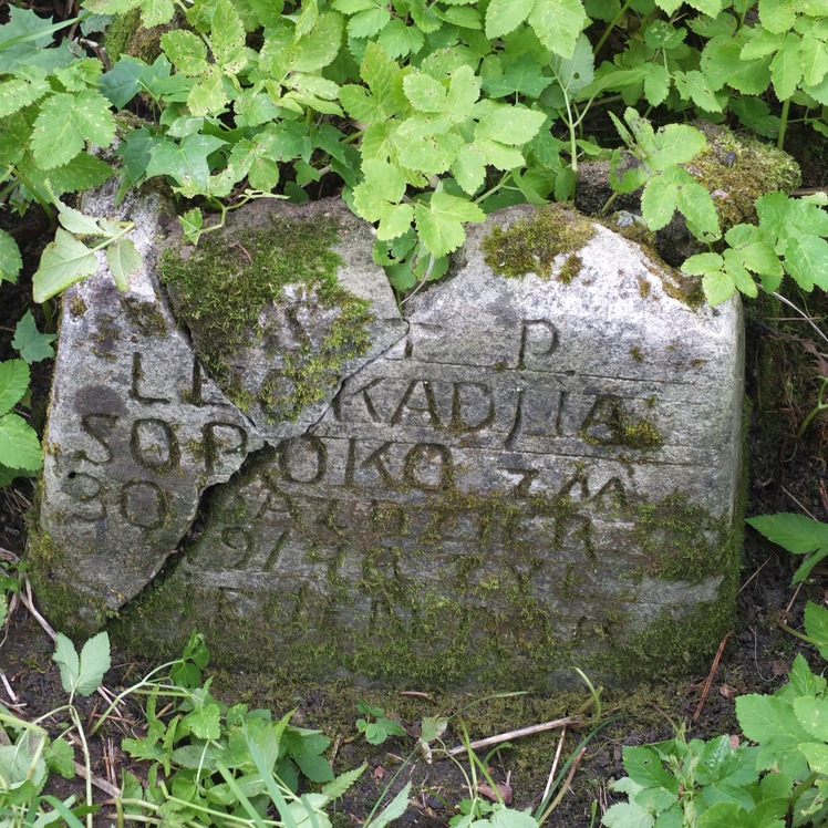 Tombstone of Leokadia Sopoko, Na Rossie cemetery in Vilnius, as of 2013